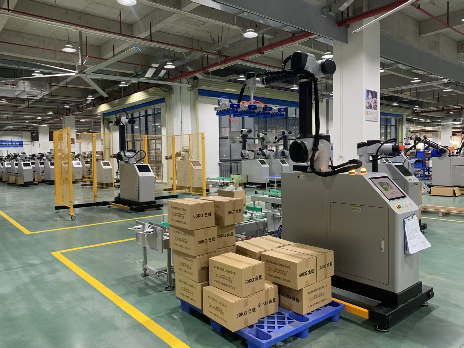 Cobot palletizer with conveyor infeed