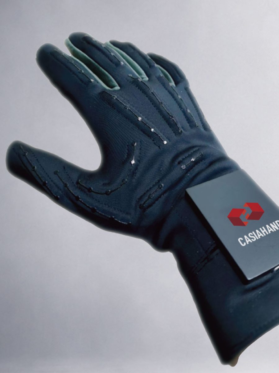 CasiaHand Data Glove