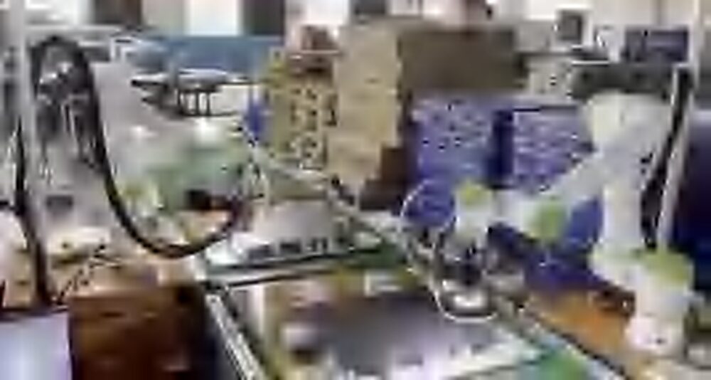 Double Arm Riveting Cobot
