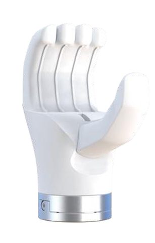 Fuyi Bionic Two-Finger Hand