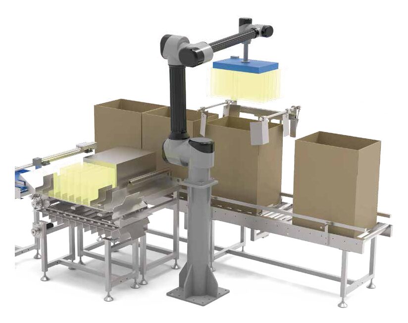 WB-50 Collaborative Packing Robot Workstation