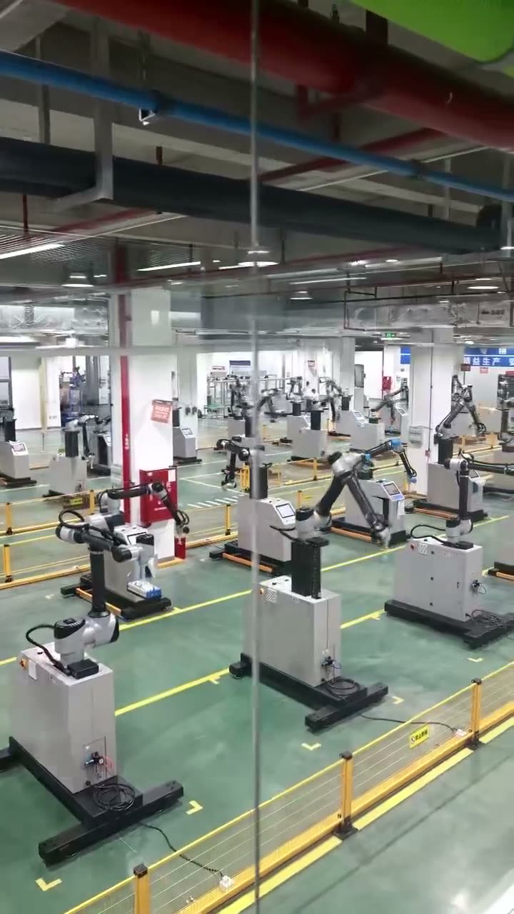 Palletizers in final test