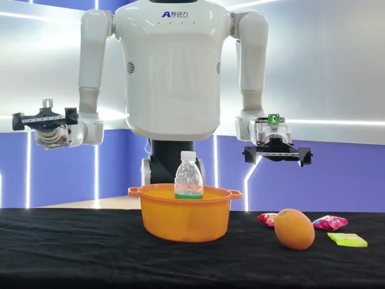 Dual-arm sorting and picking
